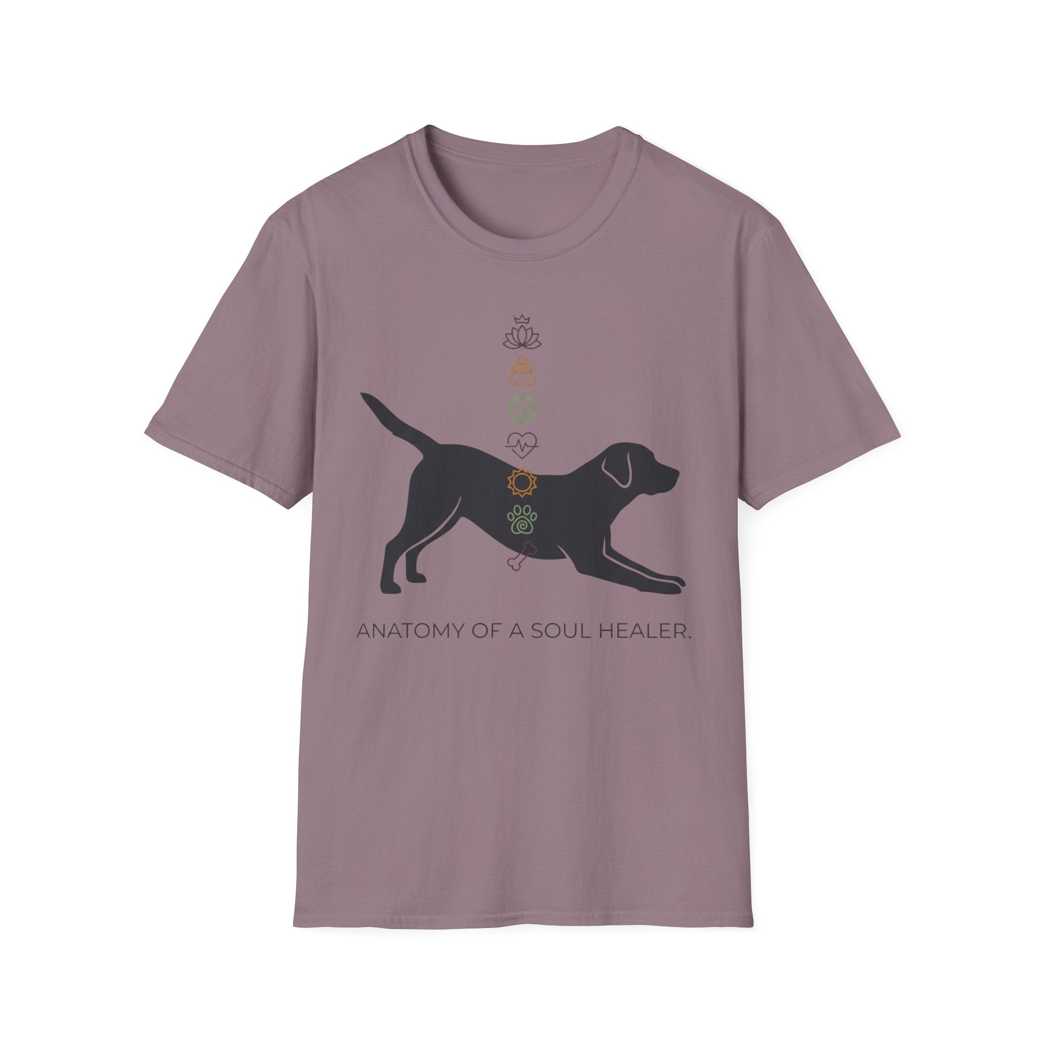 Anatomy of a Soul Healer Dog T-Shirt — Chakra Canine Wellness Tee
