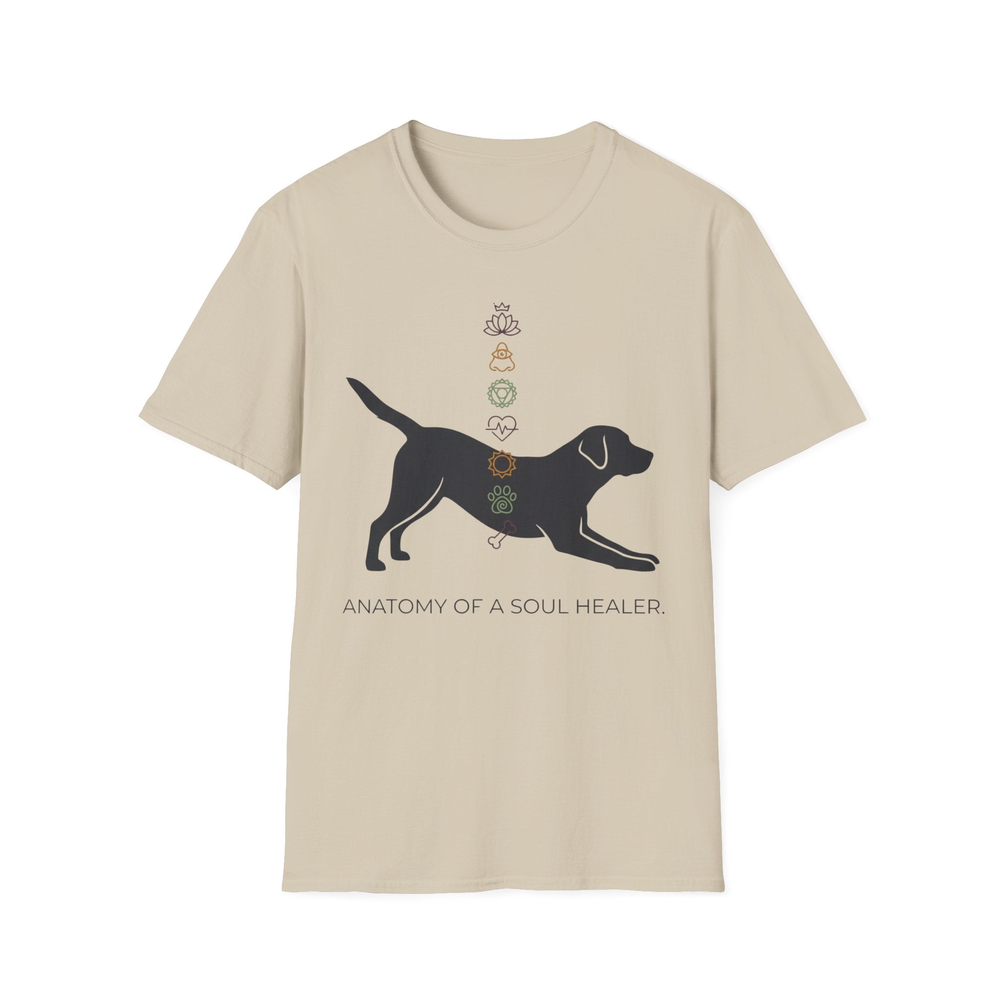 Anatomy of a Soul Healer Dog T-Shirt — Chakra Canine Wellness Tee