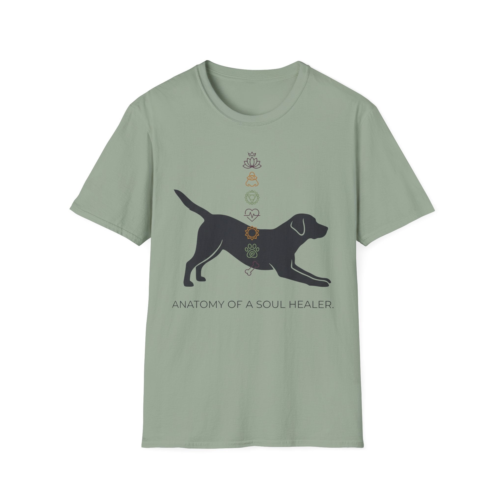 Anatomy of a Soul Healer Dog T-Shirt — Chakra Canine Wellness Tee