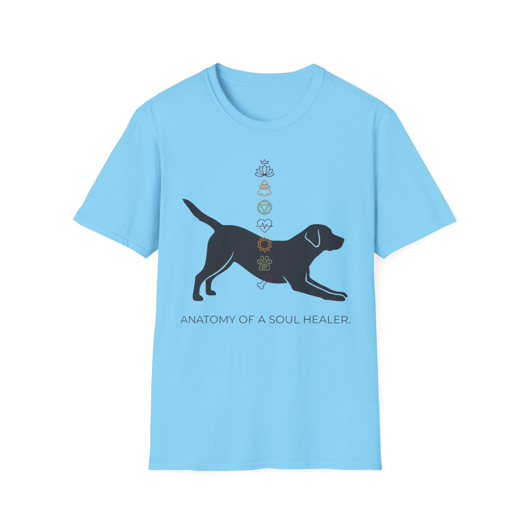 Anatomy of a Soul Healer Dog T-Shirt — Chakra Canine Wellness Tee