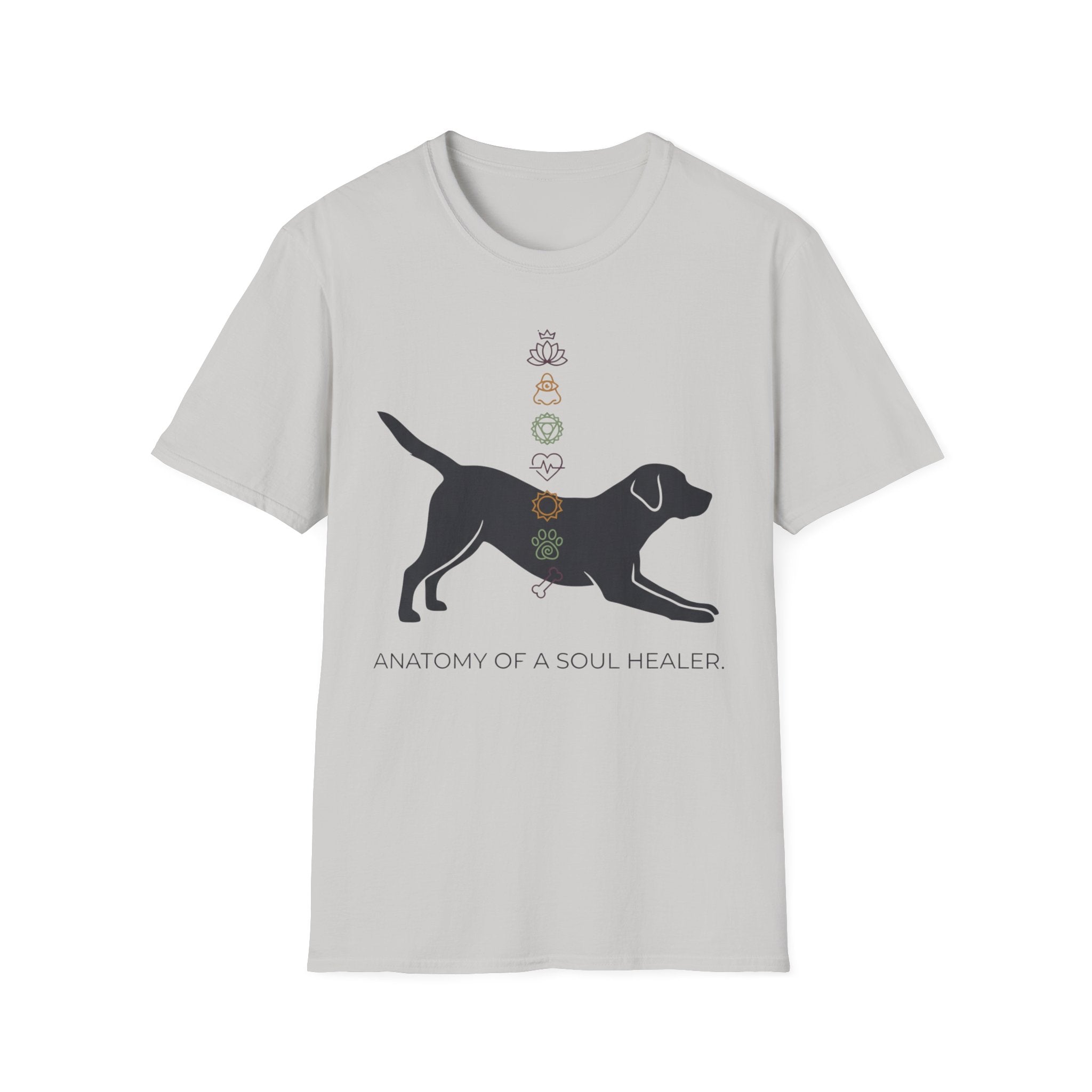 Anatomy of a Soul Healer Dog T-Shirt — Chakra Canine Wellness Tee