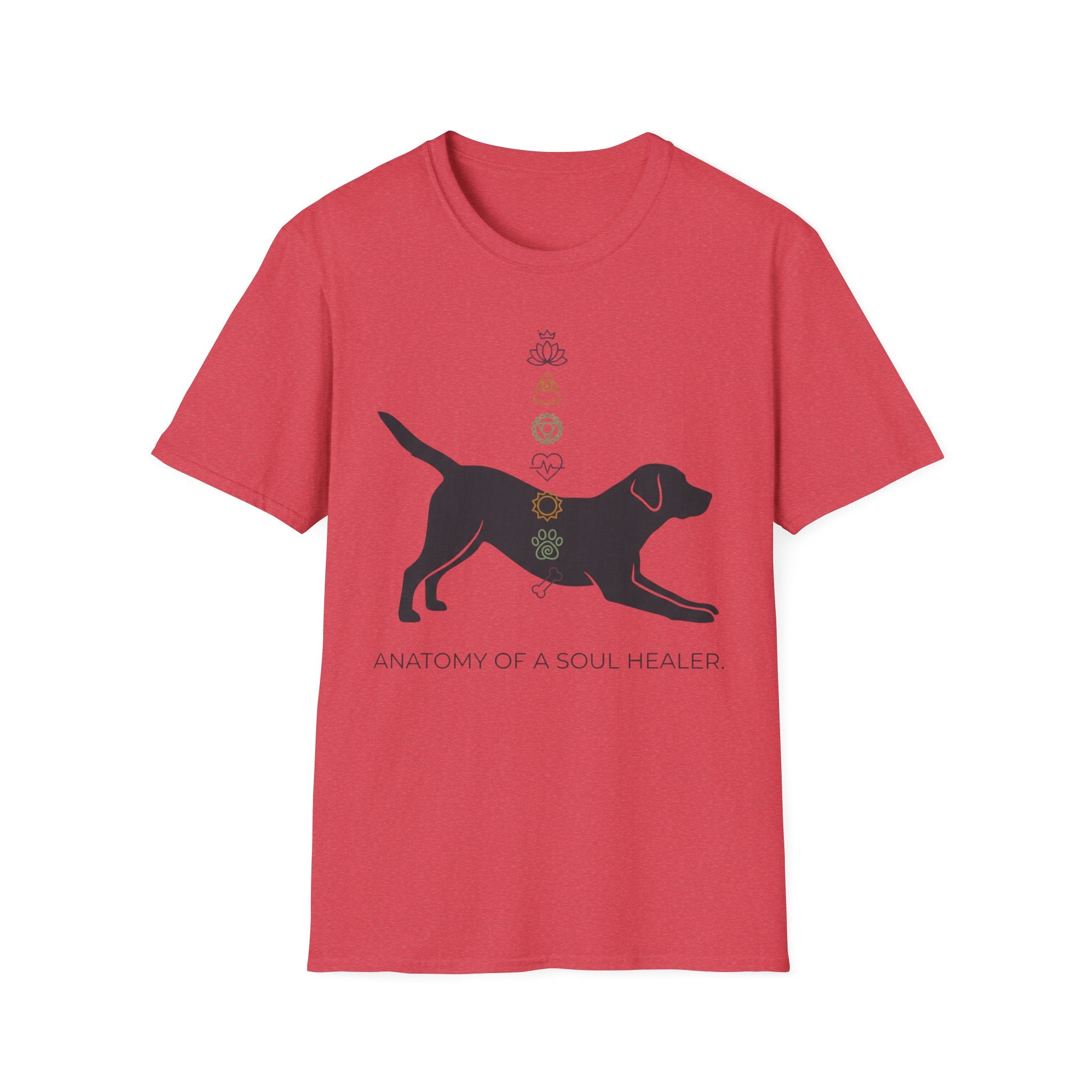 Anatomy of a Soul Healer Dog T-Shirt — Chakra Canine Wellness Tee
